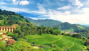 Doi Mae Salong - Chiang Rai