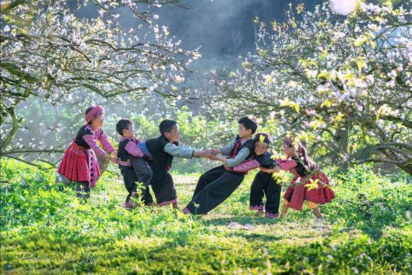 Printemps au Vietnam