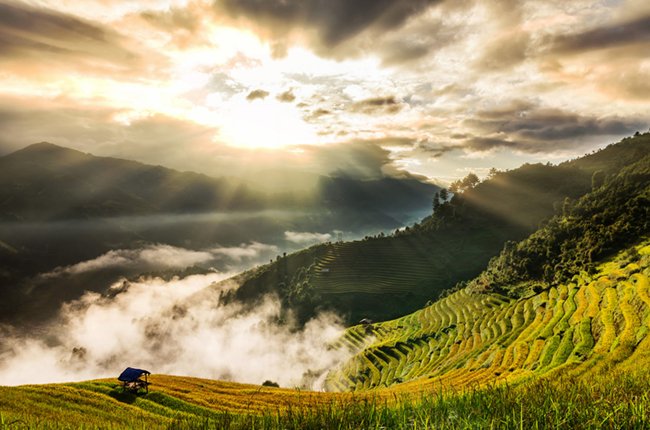 Vue à couper le souffle de Mu Cang Chai au lever du soleil