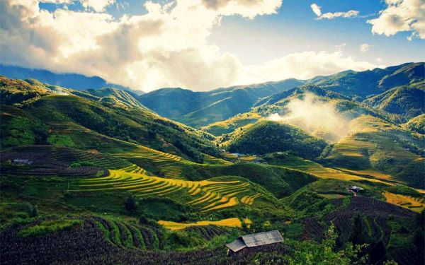 Vallée de Muong Hoa à Lao Cai